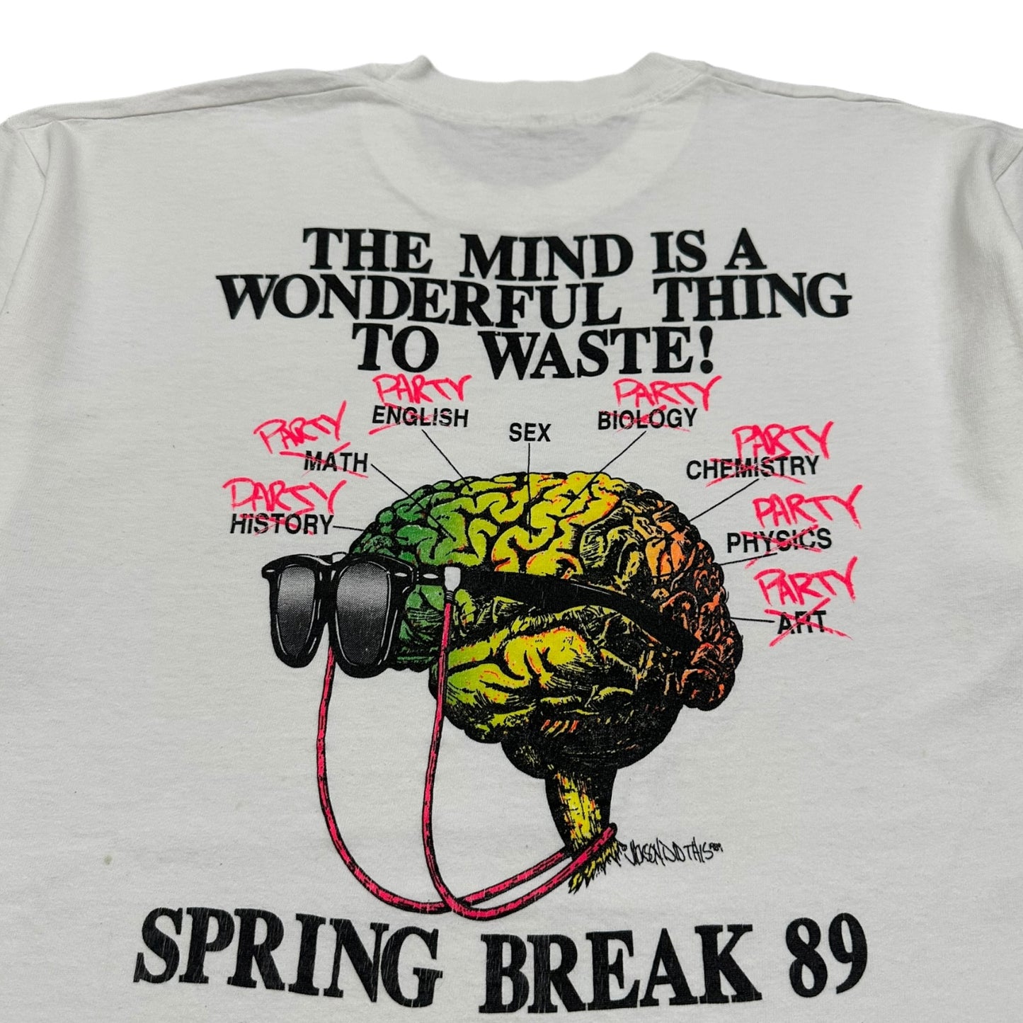 (XL) 1989 The Mind is A Wonderful Thing To Waste Tee